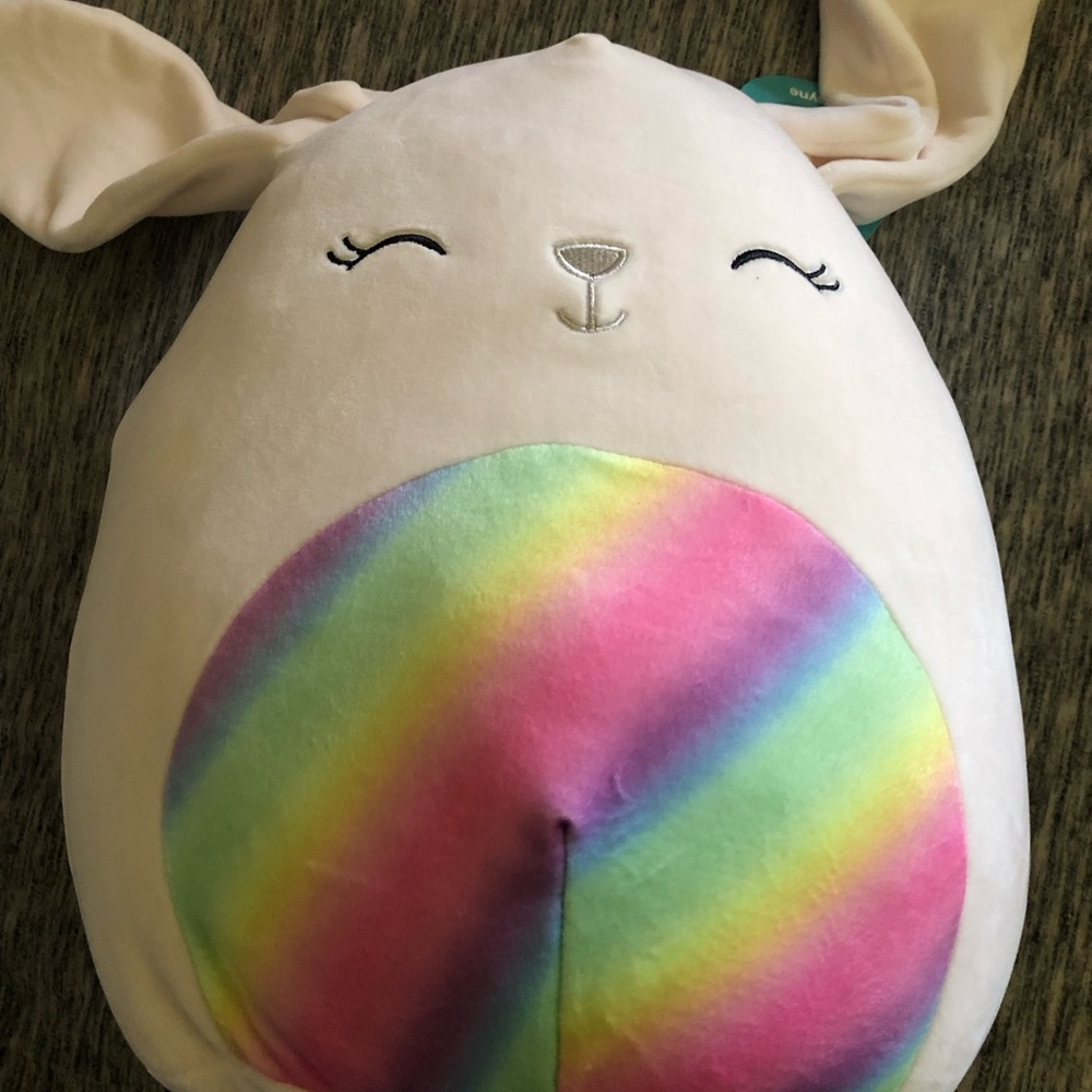 Squishmallows Robyn the Bunny 12”. NWT Cute and Squishy